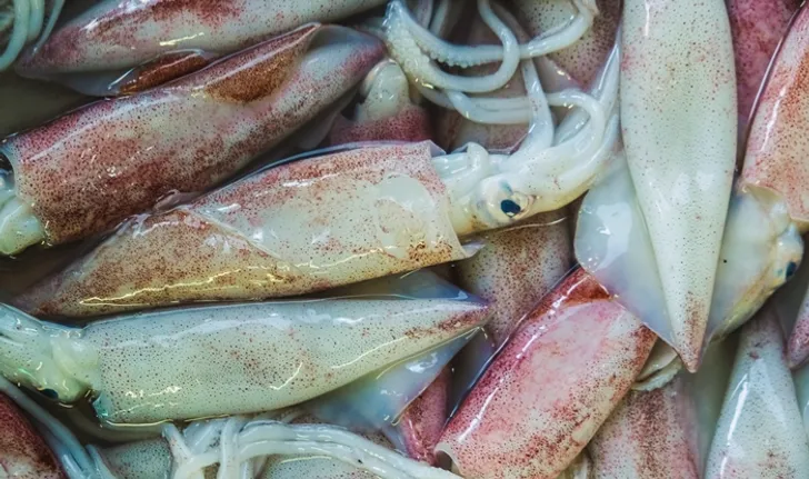 Dangers from “formalin” and how to buy seafood safely